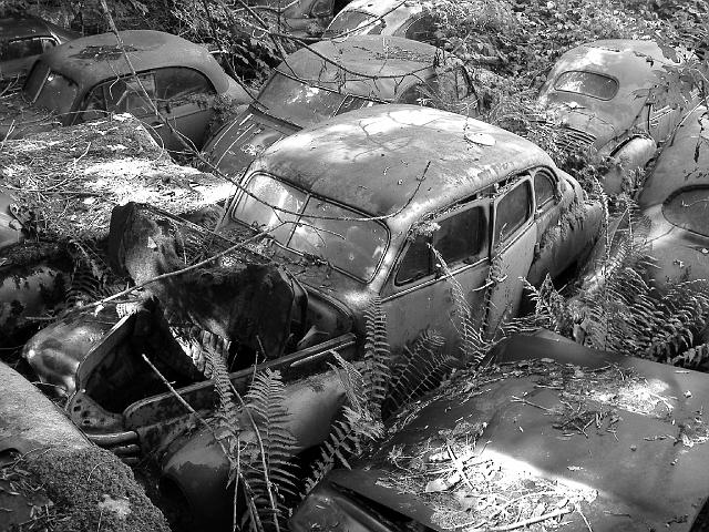 Autofriedhof - 018.JPG - Historischer Autofriedhof,    Gürbetal (CH)
